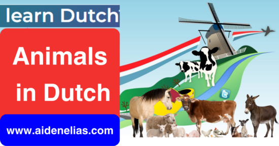 Dutch Vocabulary - Animals in Dutch