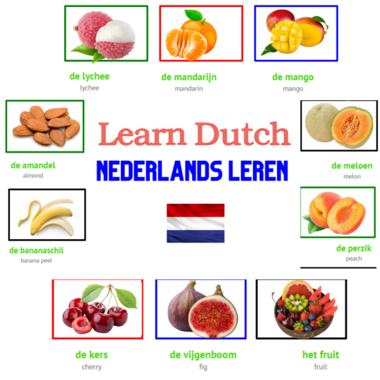 Free Dutch vocabulary Quiz