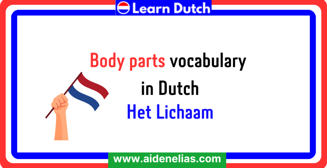 Body parts vocabulary in Dutch