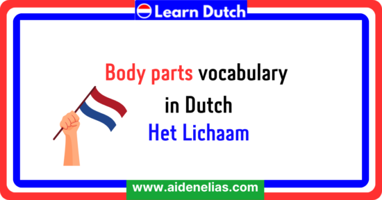 Body parts vocabulary in Dutch