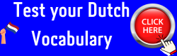 Test your Dutch Vocabulary