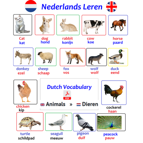 Dutch Vocabulary animals